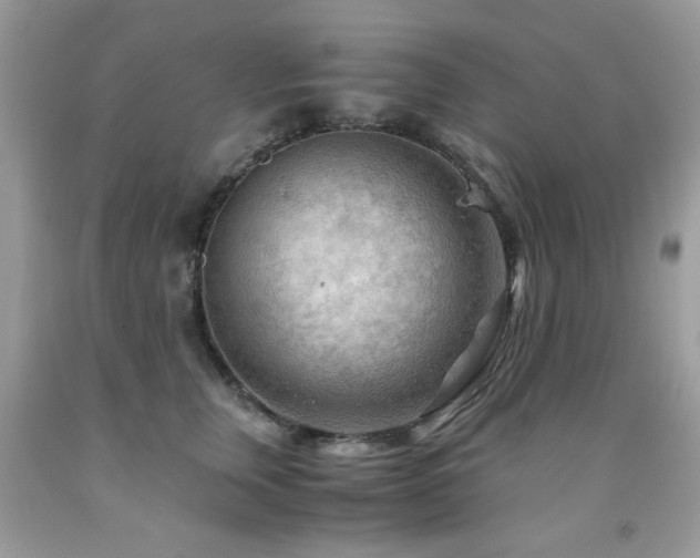 X0000091980759200709061354