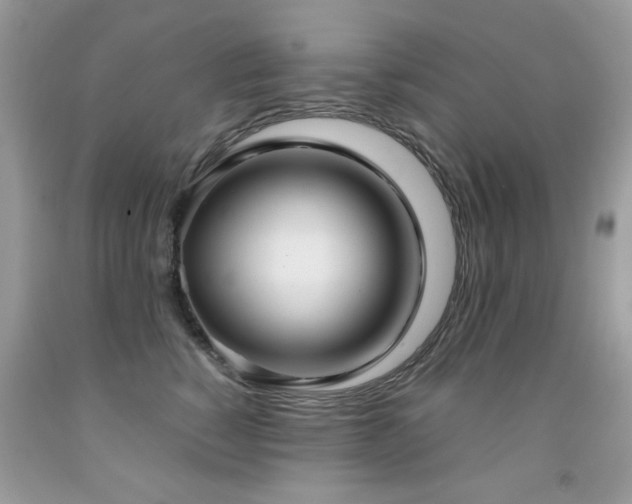 X0000091980760200709061354