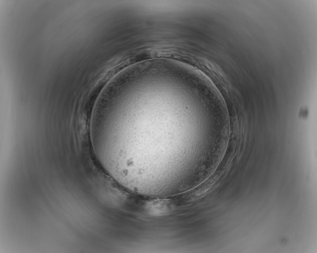 X0000091980761200709061354