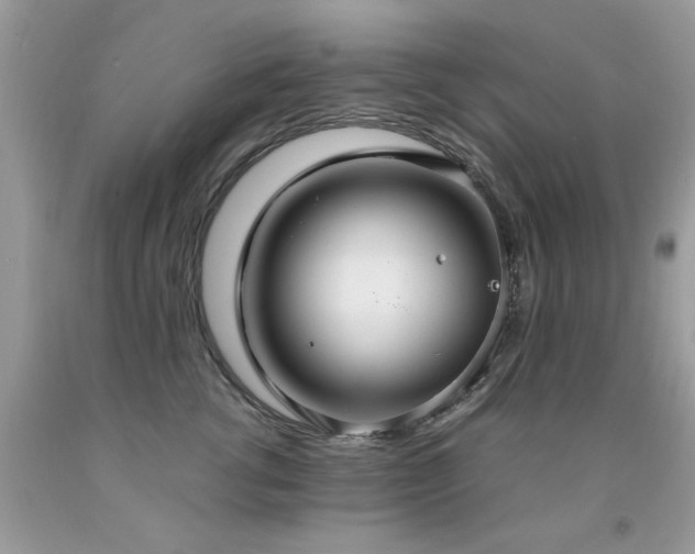 X0000091980762200709061354