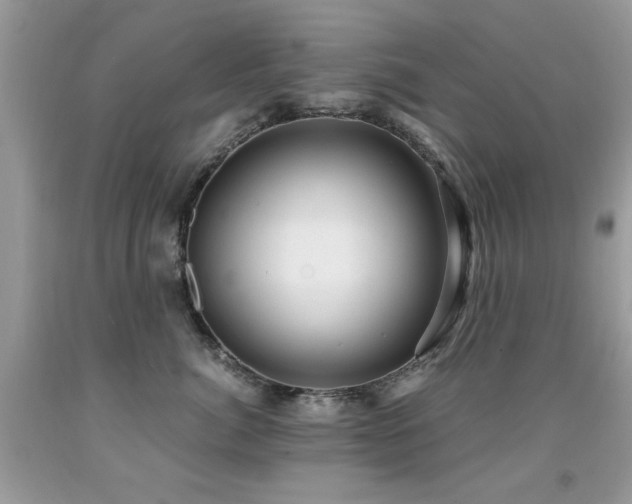 X0000091980764200709061354