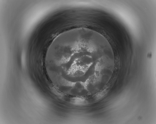 X0000091980765200709061354