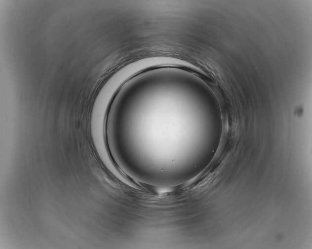 X0000091980766200709061354