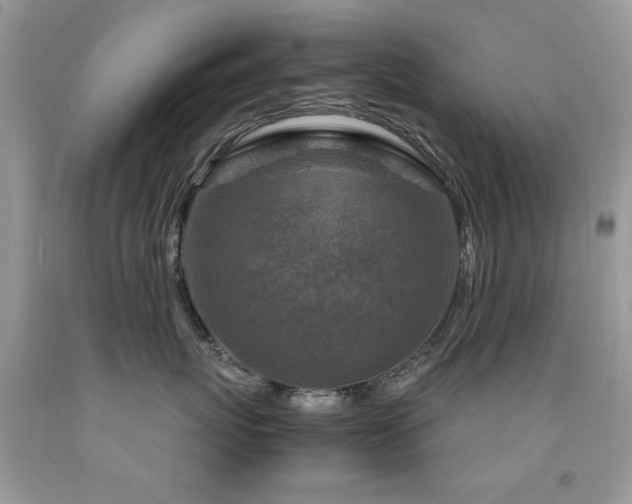 X0000091980767200709061354