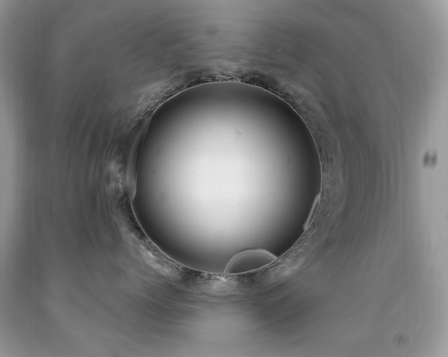 X0000091980768200709061354