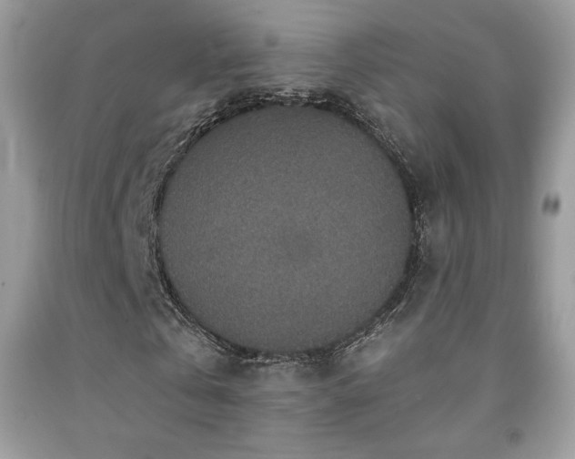 X0000091980769200709061354