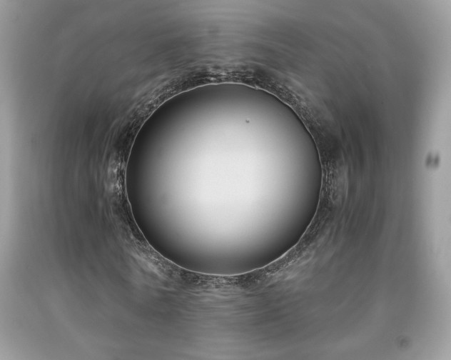 X0000091980770200709061354