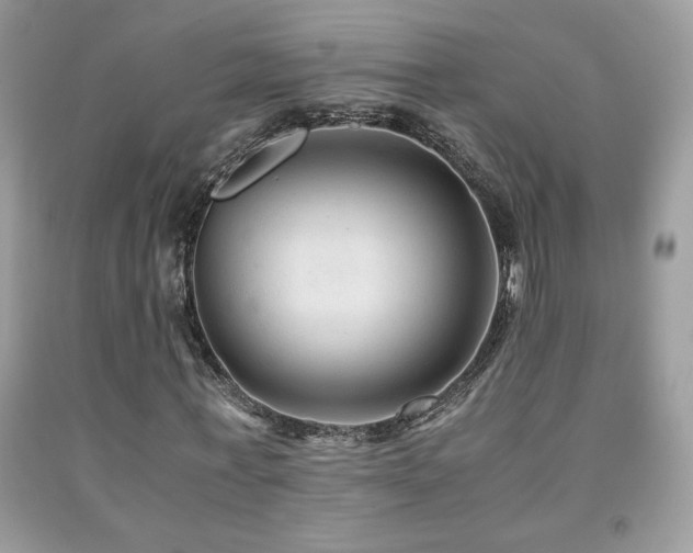 X0000091980771200709061354