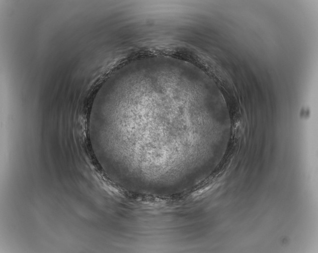 X0000091980772200709061354