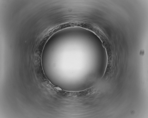 X0000091980773200709061354