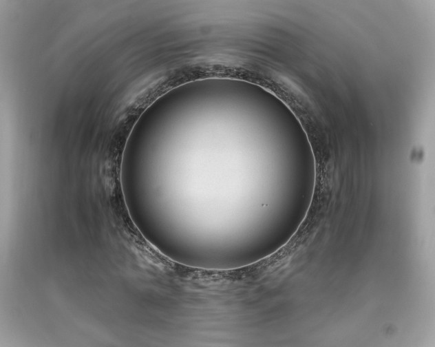X0000091980774200709061354