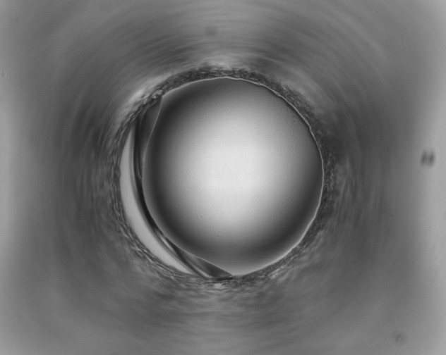 X0000091980776200709061354