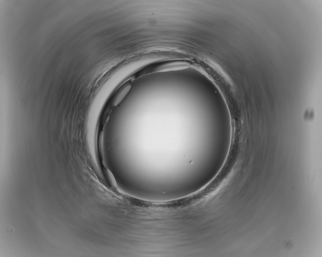X0000091980777200709061354