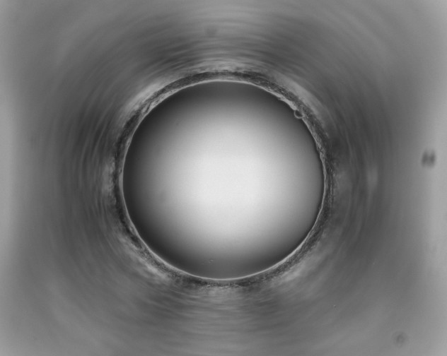 X0000091980778200709061354