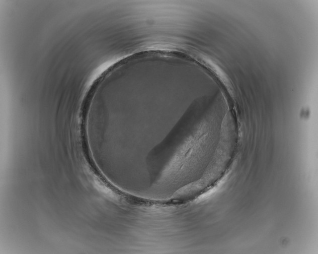 X0000091980779200709061354