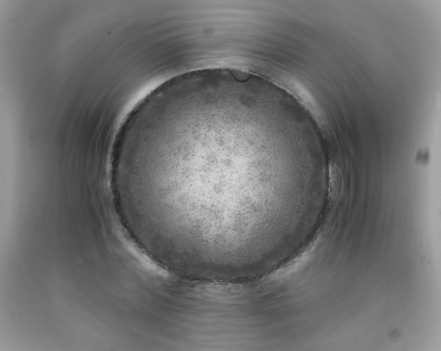 X0000091980780200709061354