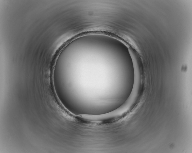 X0000091980781200709061354