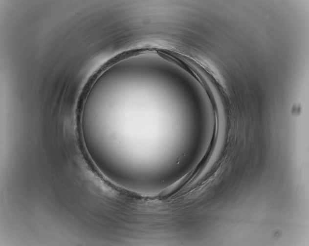X0000091980784200709061354