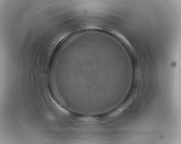 X0000091980785200709061353