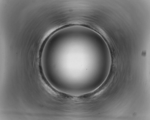 X0000091980787200709061353