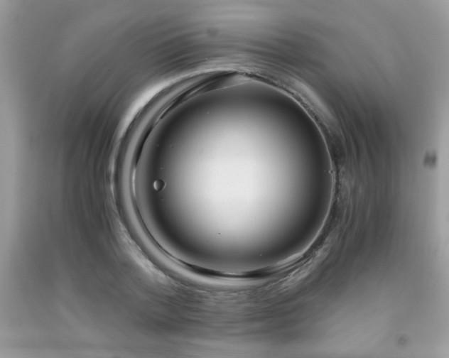 X0000091980788200709061353