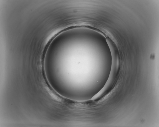 X0000091980789200709061353