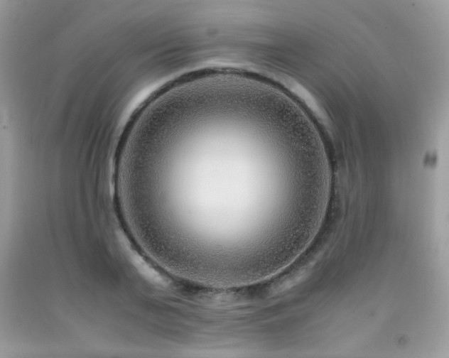 X0000091980791200709061353
