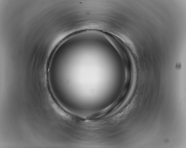 X0000091980792200709061353