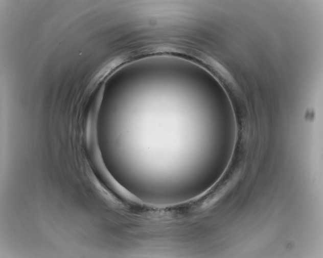 X0000091980793200709061353