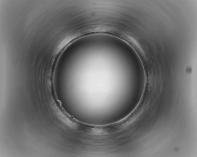 X0000091980794200709061353