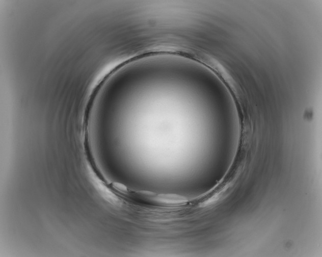 X0000091980795200709061353