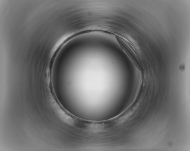 X0000091980796200709061353