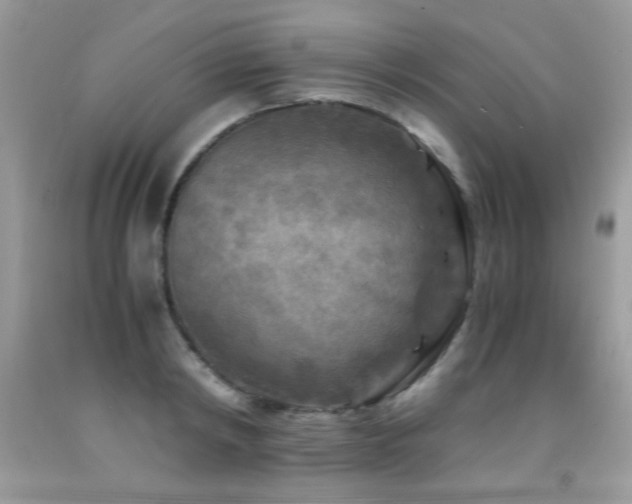 X0000091980798200709061353