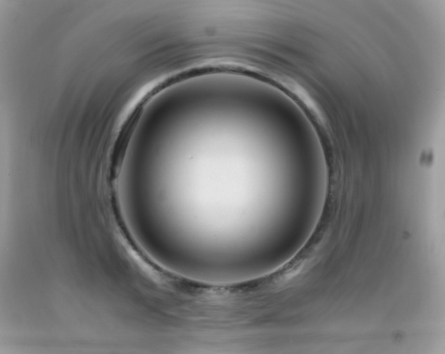 X0000091980799200709061353