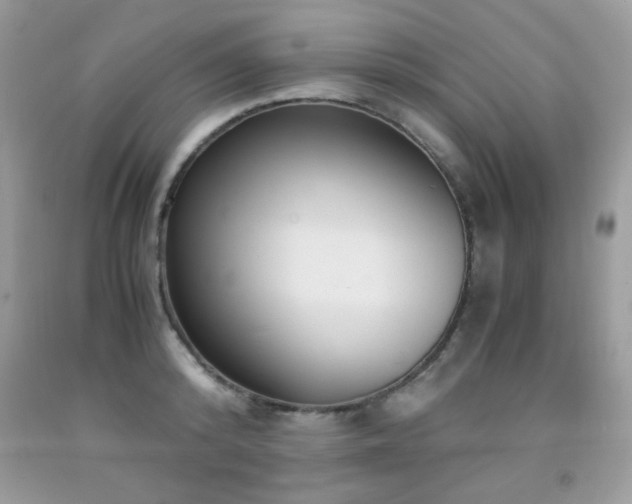 X0000091980800200709061353