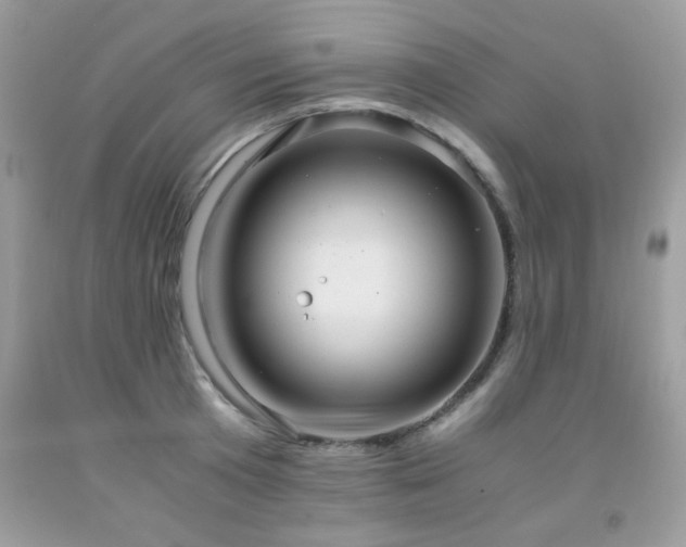 X0000091980801200709061353