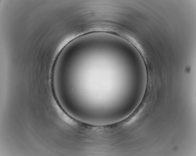 X0000091980803200709061353