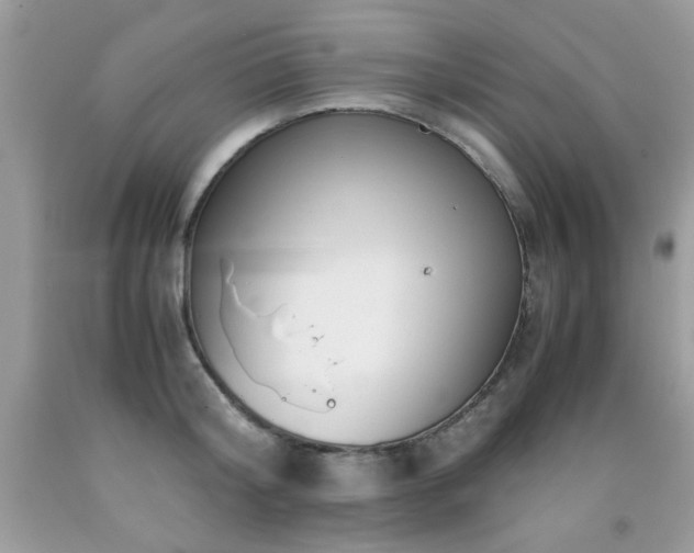 X0000091980804200709061353