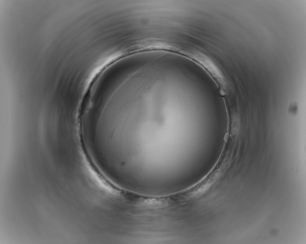 X0000091980806200709061353
