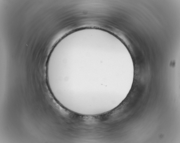 X0000091980807200709061353
