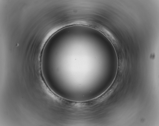 X0000091980808200709061353