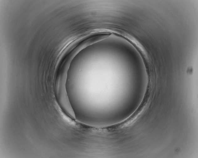X0000091980809200709061353