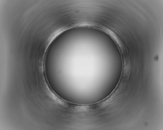 X0000091980810200709061353