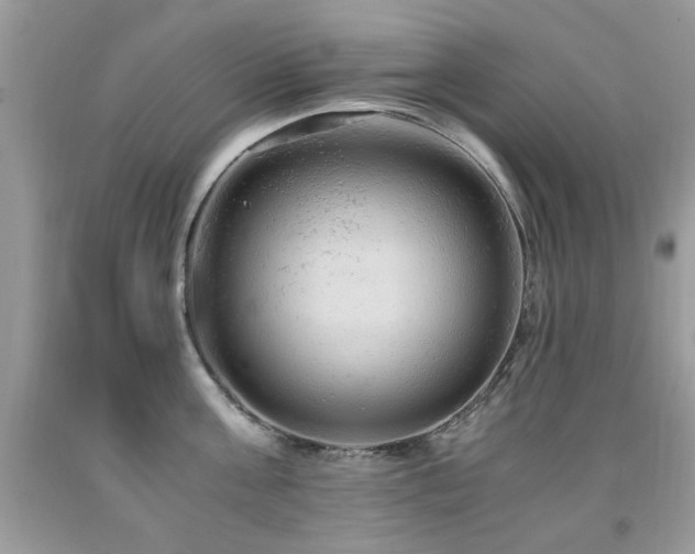 X0000091980811200709061353