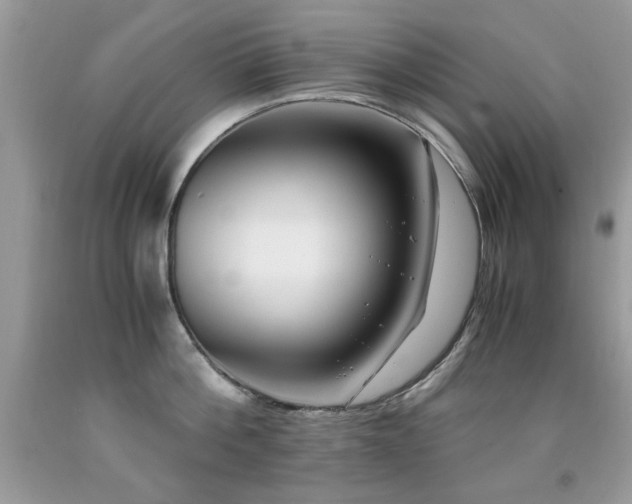 X0000091980812200709061353
