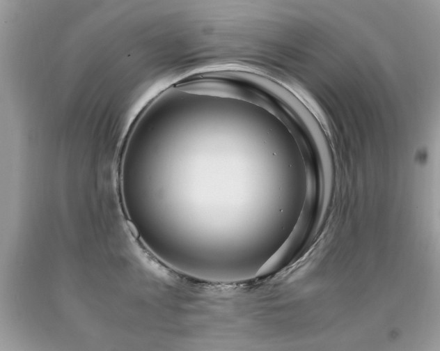 X0000091980813200709061353