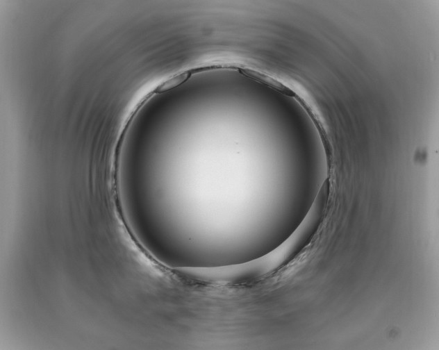 X0000091980815200709061353