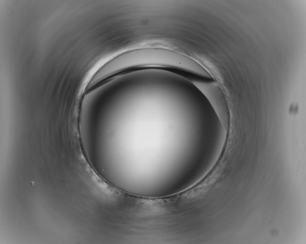X0000091980816200709061353