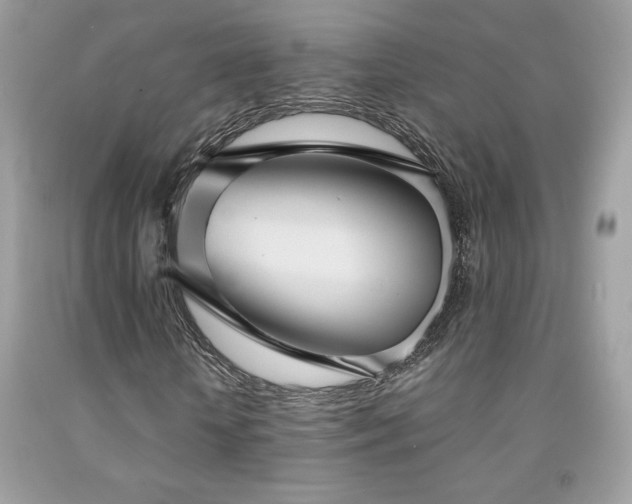 X0000091980818200709061352