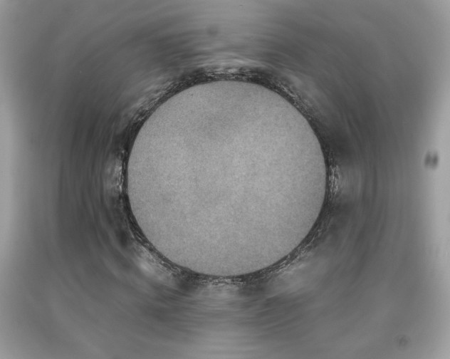X0000091980820200709061352
